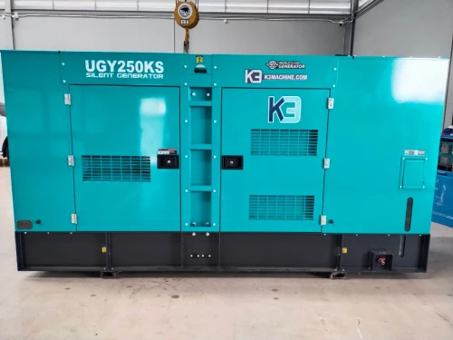 ติดตั้งเครื่องปั่นไฟ 250KVA | เครื่องปั่นไฟ ห้องเย็น